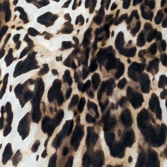 Silk Leopard Dress - Picture 3 of 9